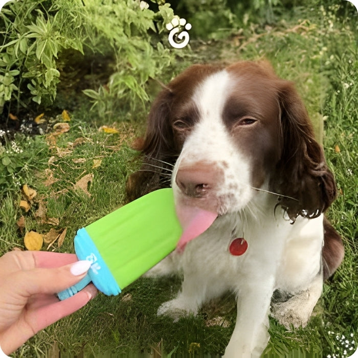 Perrito refrescándose con Ice pop verde limón