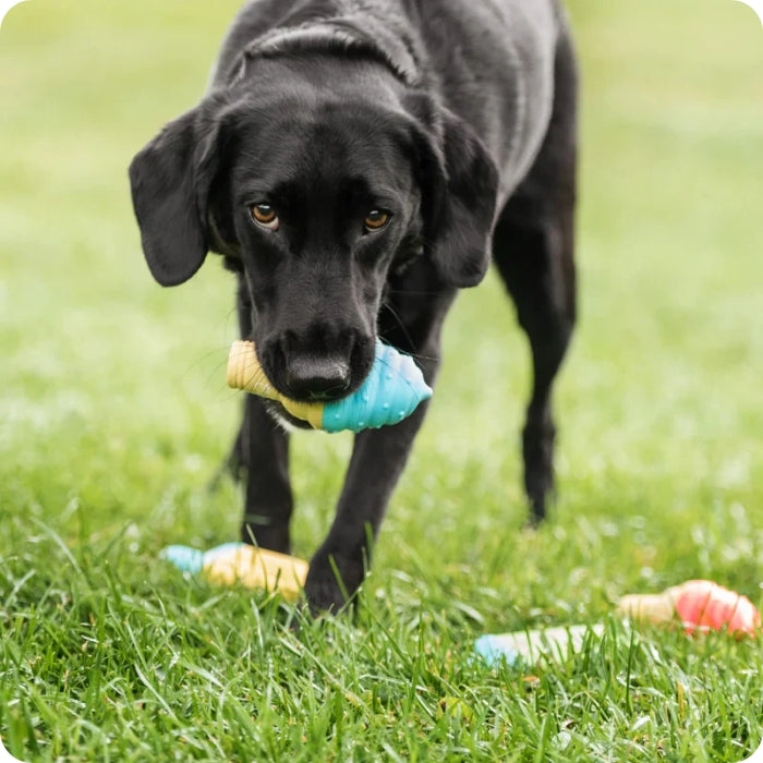 Perrito jugando con Ice Cone de GF Pet