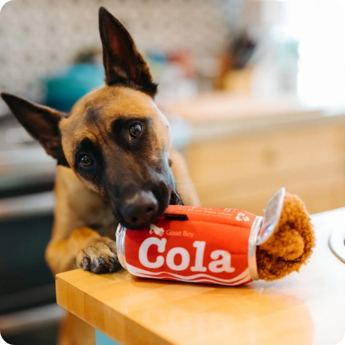 Perro jugando con peluche sensorial Good Boy Cola