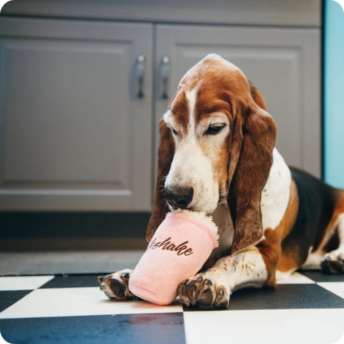 Perrito jugando con peluche sensorial Mutts Milkshake