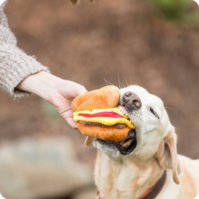 Perro mordiendo juguete sensorial Barky Burger