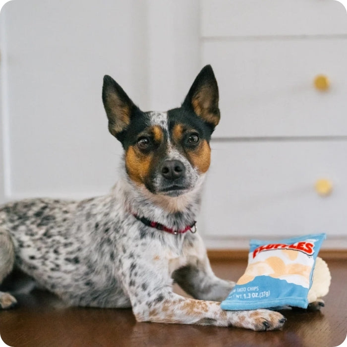 Perro posando para la foto con juguete sensorial Fluffles Chips