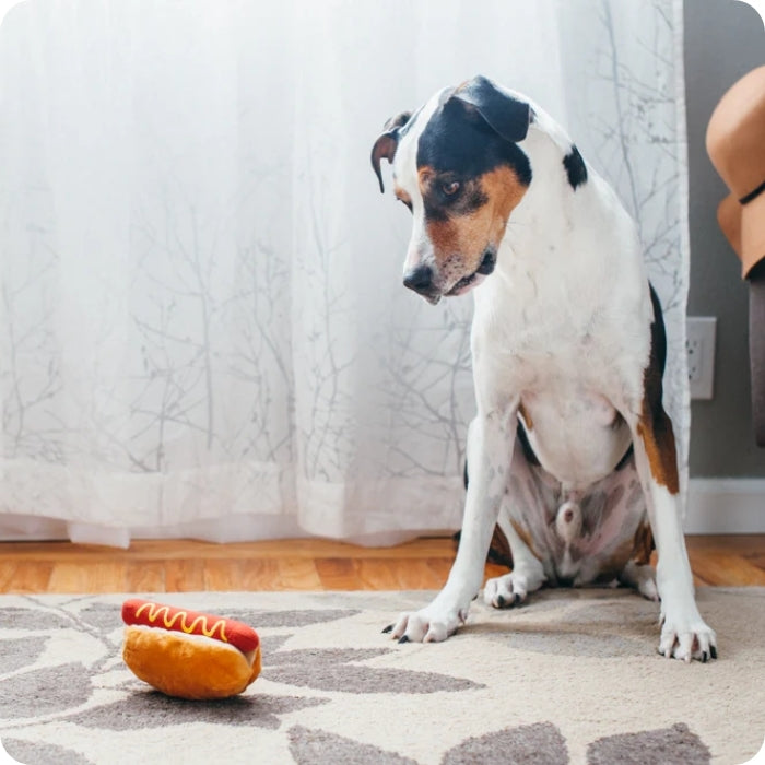 Perro posando con juguetesensorial Hot Diggy Dog completo para perros de peluche