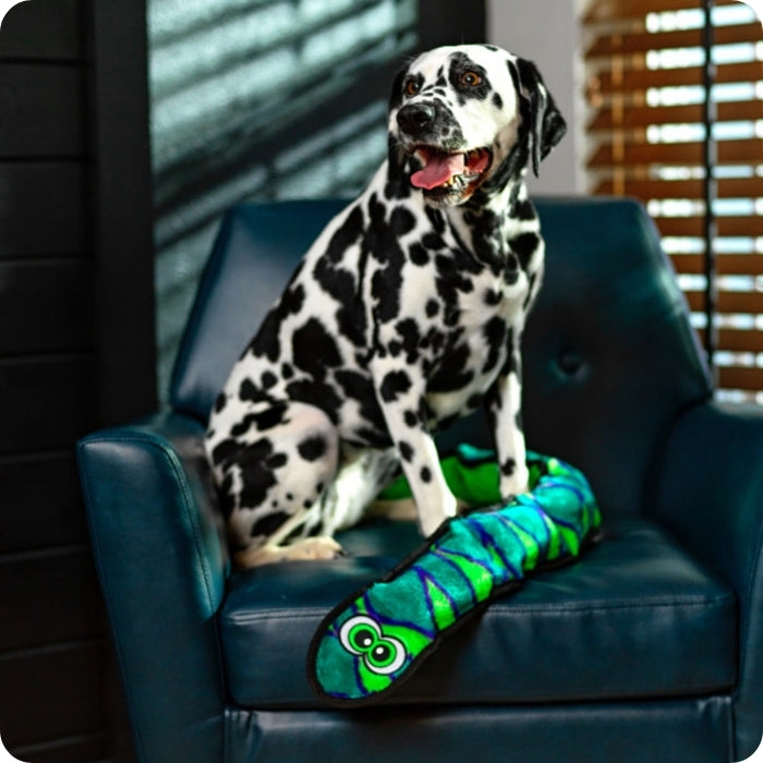 Perro adulto posando con peluche sensorial para perros Serpiente talla XL Durablez de Outward Hound
