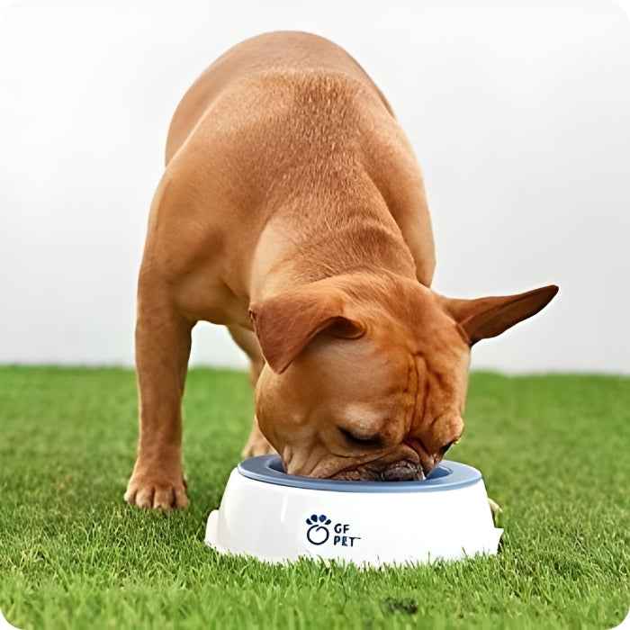 Bowl Congelable GF PET