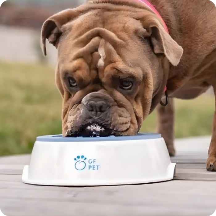 Bowl Congelable GF PET