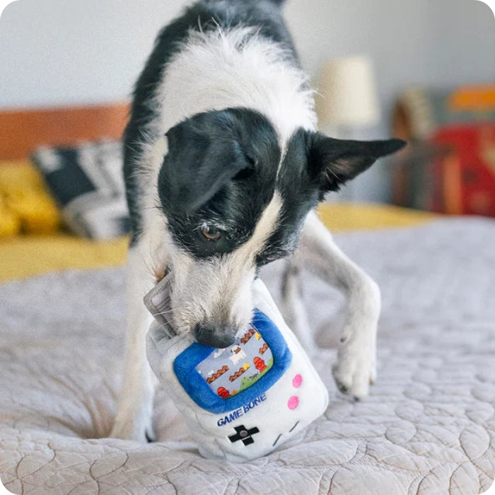 Perrito jugando con Game Bone peluche sensorial para perros de P.L.A.Y de 15 cms aprox