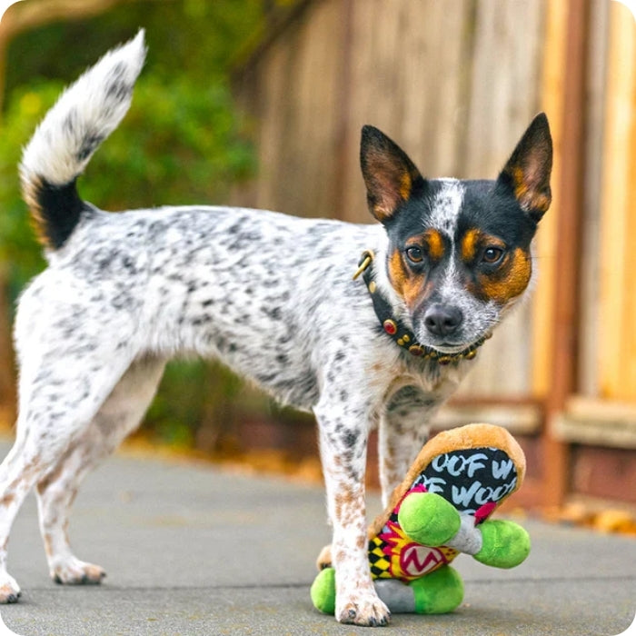 Perrito posando con peluche sensorial para perros Kickflippin K9 de P.L.A.Y 
