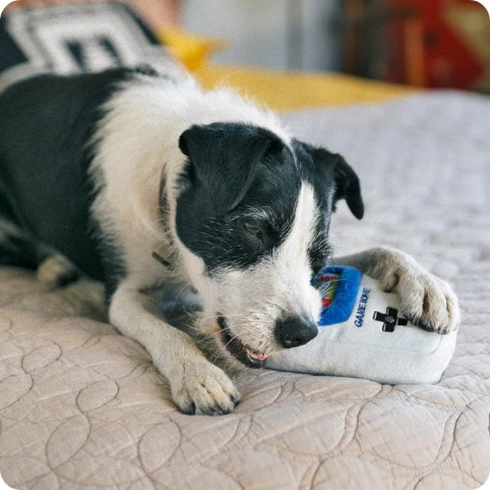 Perro mordiendo Game Bone peluche sensorial para perros de P.L.A.Y de 15 cms aprox