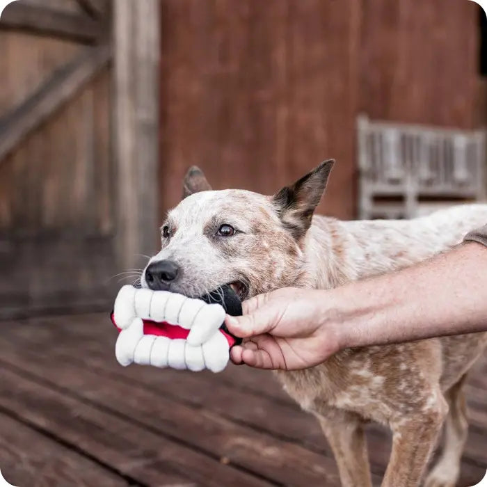 Juguete Mordedor de Peluche para Perros PLAY Howling Haunts Dientes de Vampiro