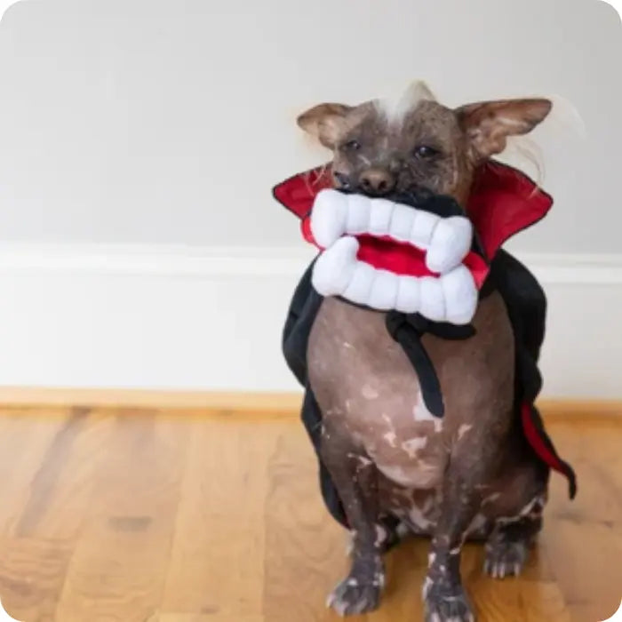 Juguete Mordedor de Peluche para Perros PLAY Howling Haunts Dientes de Vampiro
