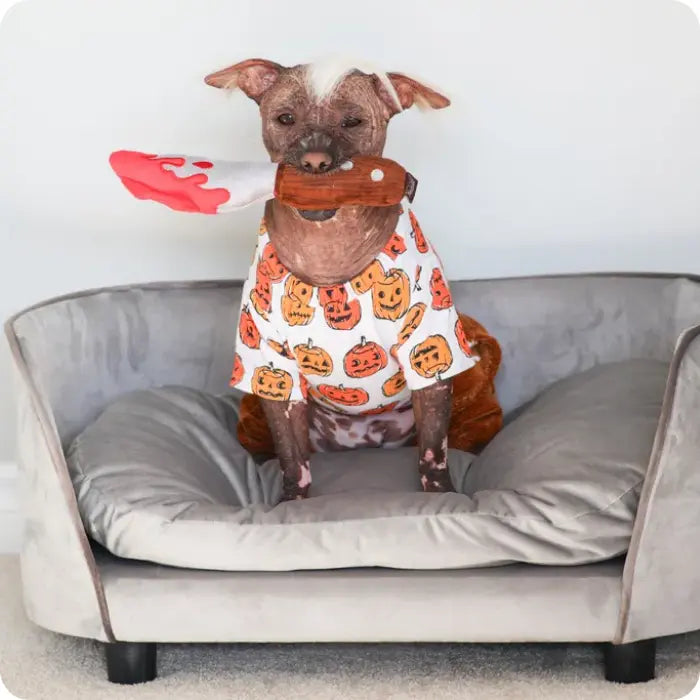 Juguete para Perros Daga de Halloween PLAY Howling Haunts | Doggy Daga