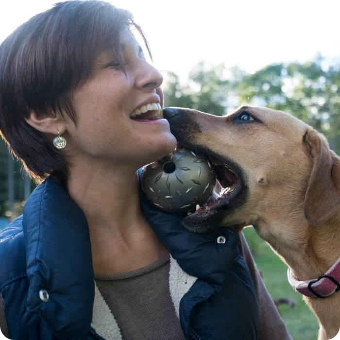 Perro talla grande jugando con pelota Diamond Plate talla L