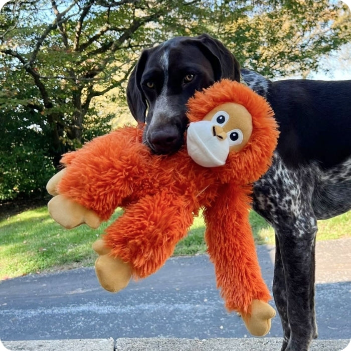 Perro talla mediana a grande jugando con peluche sensorial Tall Tails Orangután con cuerda interior