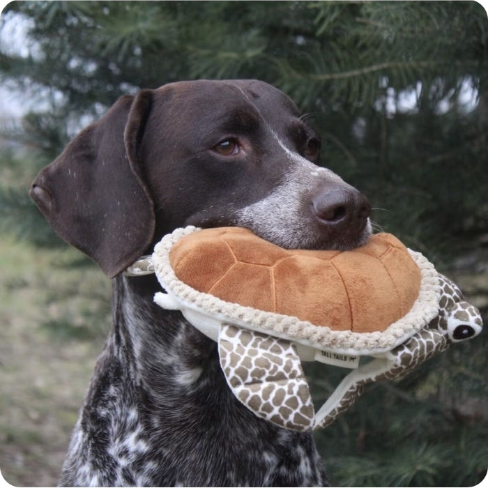 Perro talla grande mordiendo peluche sensorial animado para perros modelo Tortuga Marca Tall Tails