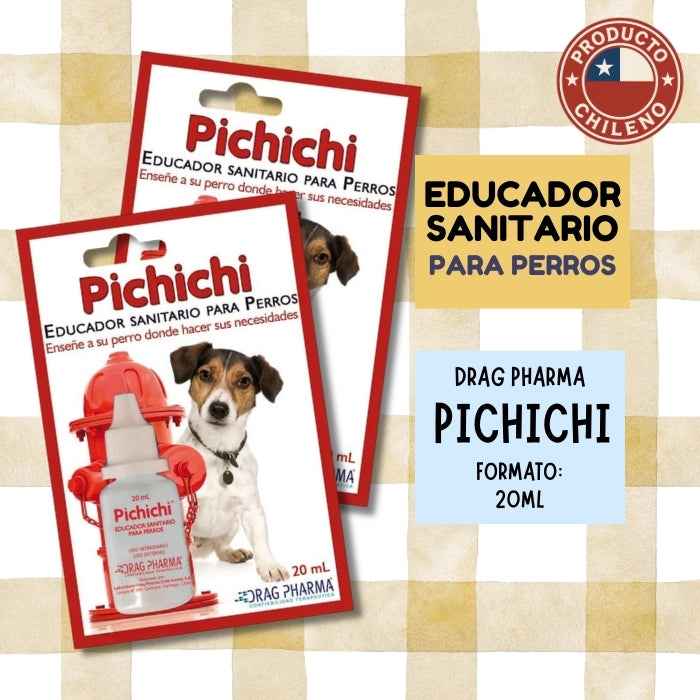 Pichichi - Educador Sanitario para perros