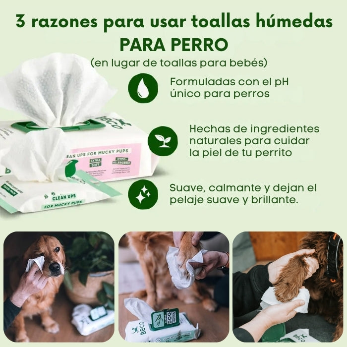 3 razones para usar toallas húmedas para perro, en lugar de toallas húmedas para bebés