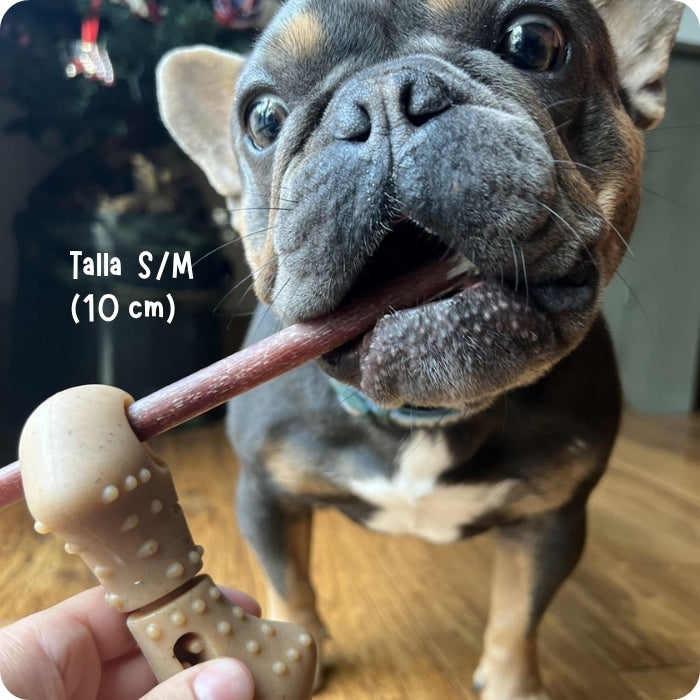 Porta Bully Stick Tall Tails de madera y caucho natural talla S en uso