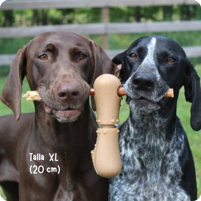 Porta Bully Stick Tall Tails de madera y caucho natural talla XL en uso