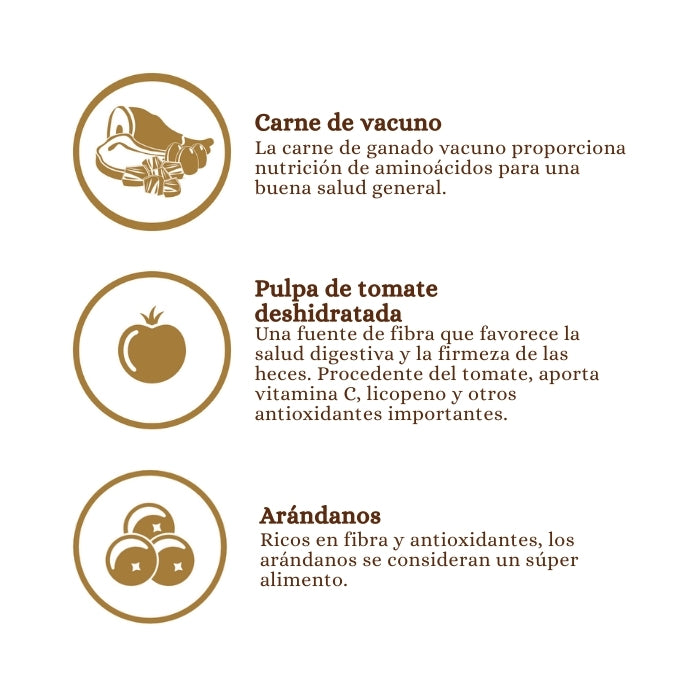 Principales ingredientes de Taste of the Wild Ancient Praire con granos ancestrales: Carne de vacuno, pulpa de tomate deshidratada y arándanos.