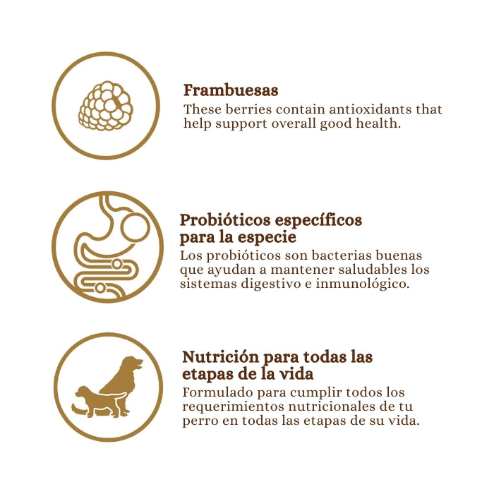 Principales ingredientes de Taste of the Wild Ancient Praire con granos ancestrales: Frambuesas y probióticos específicos para la especie. Una nutrición balanceada para todas las etapas de la vida de tu perro.