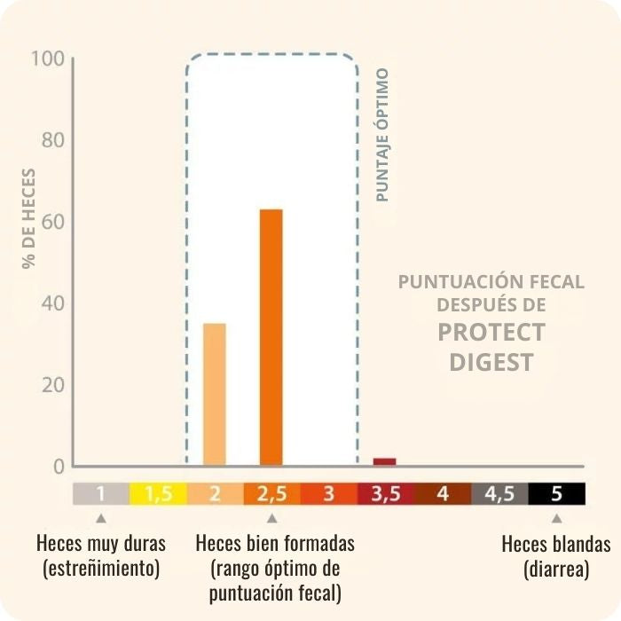 Pro Nutrition Protect Digest Gato mejora la calidad de las heces.