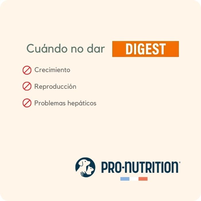En qué casos no se recomienda dar Pro Nutrition Protect Digest Gato