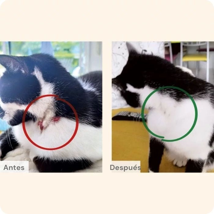 Protect Hair & Skin de Pro Nutrition antes y después.