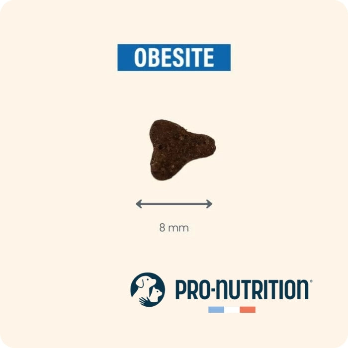 tamaño de la croqueta de Protect Obesite para gatos.