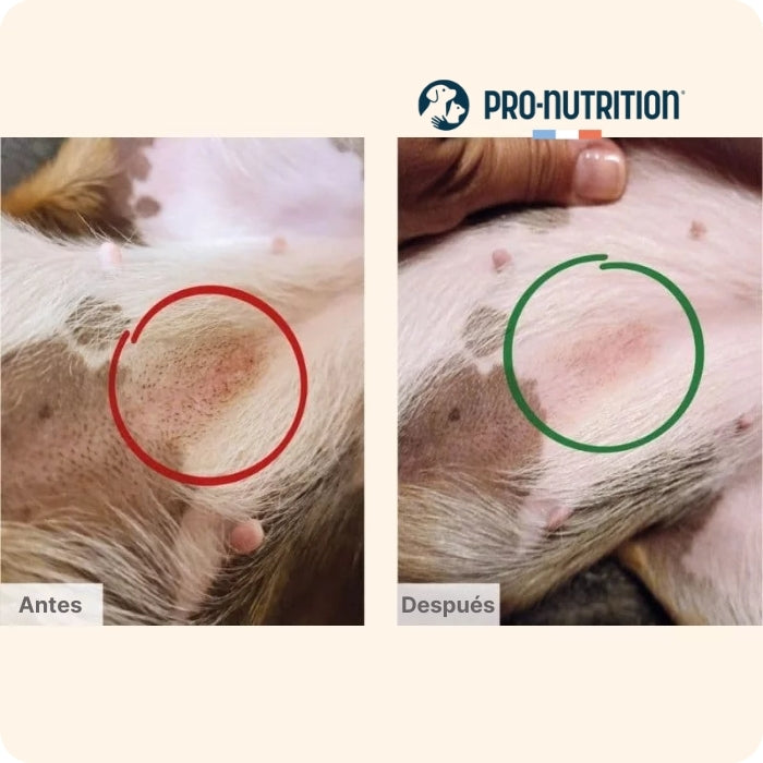 Pro nutrition Protect Dermato antes y después