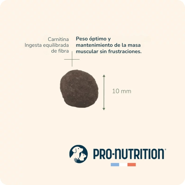 Pro Nutrition Pure Life Sardine tamaño de la croqueta