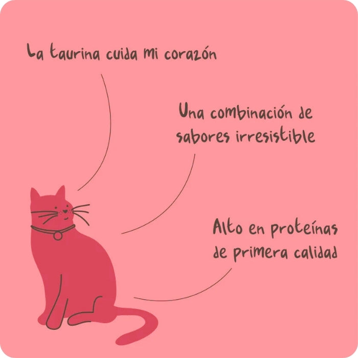 Propiedades snack natural untable para gatos Magic Salmon Winga