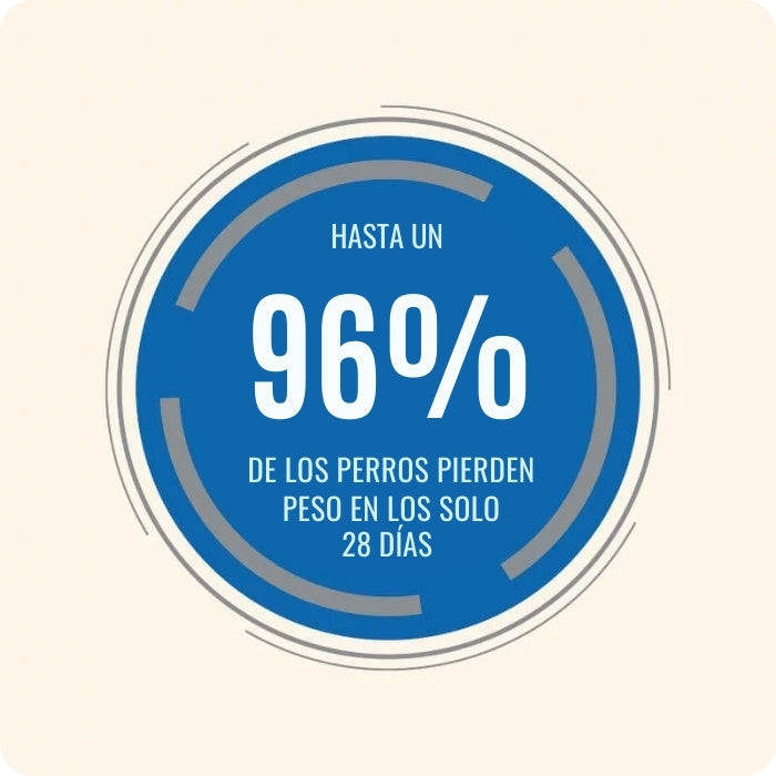 Pronutrition Protect Obesite hace que hast aun 6% de los perros pierdan peso en solo 28 días
