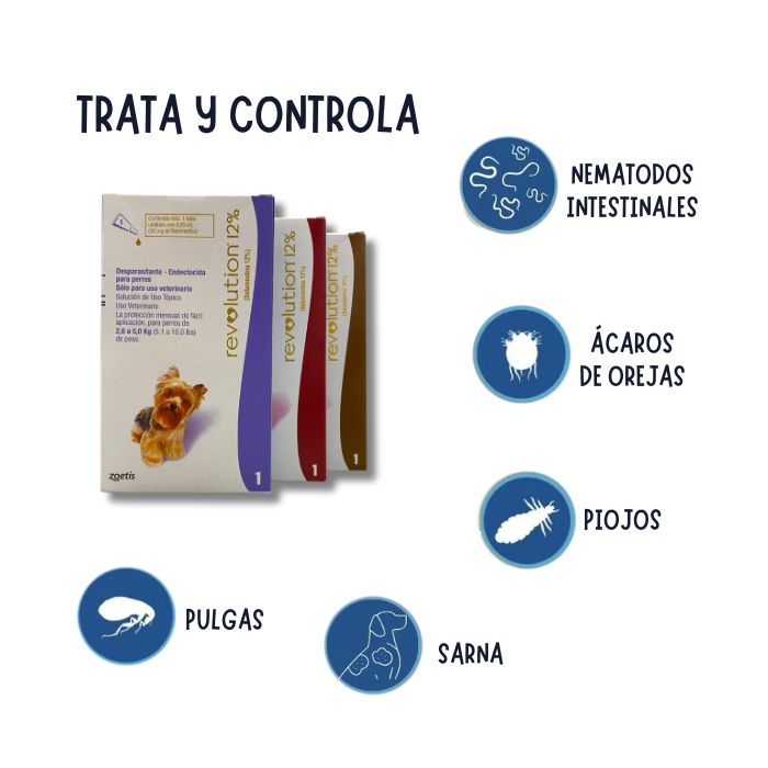 Que cosas puedes tratar con Revolution 12%