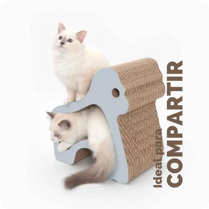 Rascador 2 en 1 para gatos | Gorila | Elefante | Rinoceronte | Catit Zoo