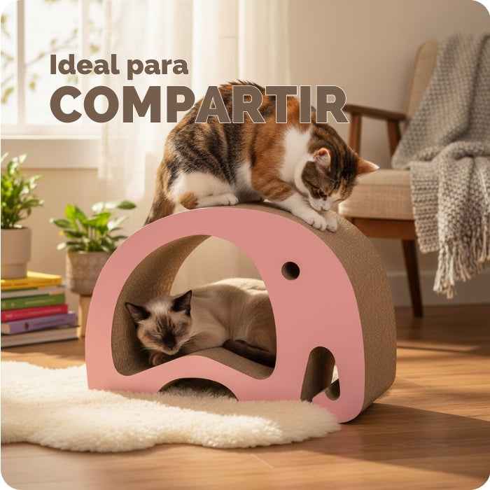 Rascador 2 en 1 para gatos | Gorila | Elefante | Rinoceronte | Catit Zoo