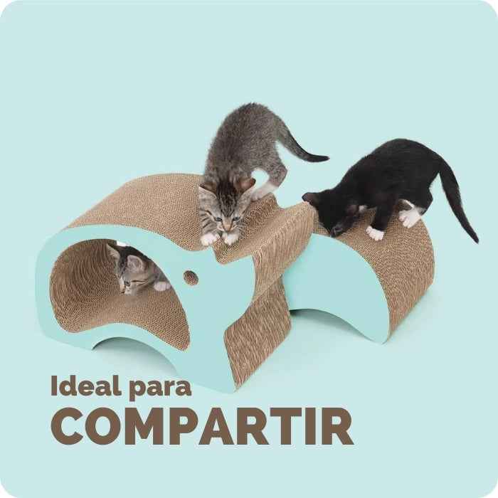 Rascador 2 en 1 para gatos | Gorila | Elefante | Rinoceronte | Catit Zoo