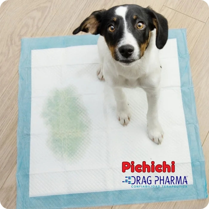 Resultados esperados usando Pichichi de Drag Pharma.