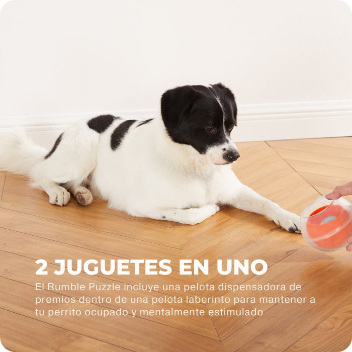 Rumble Puzzle juguete cognitivo nivel 1 de Nina Ottosson es  2 juguetes en uno!