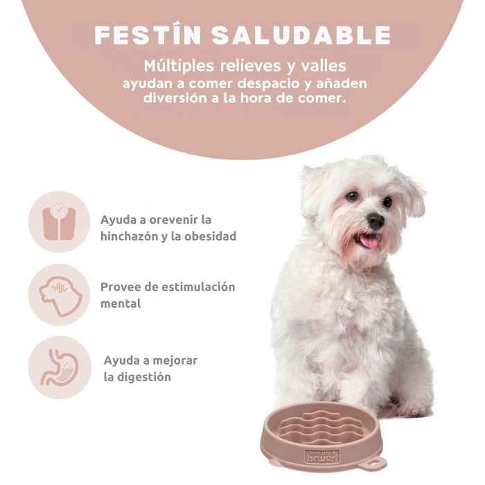 Comedero lento talla S Outward Hound