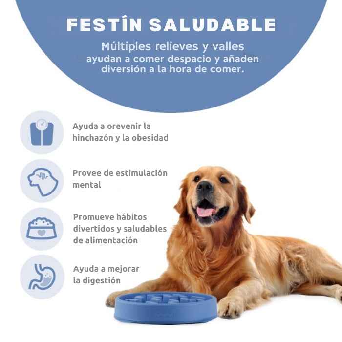 Comedero lento para perros | Outward Hound
