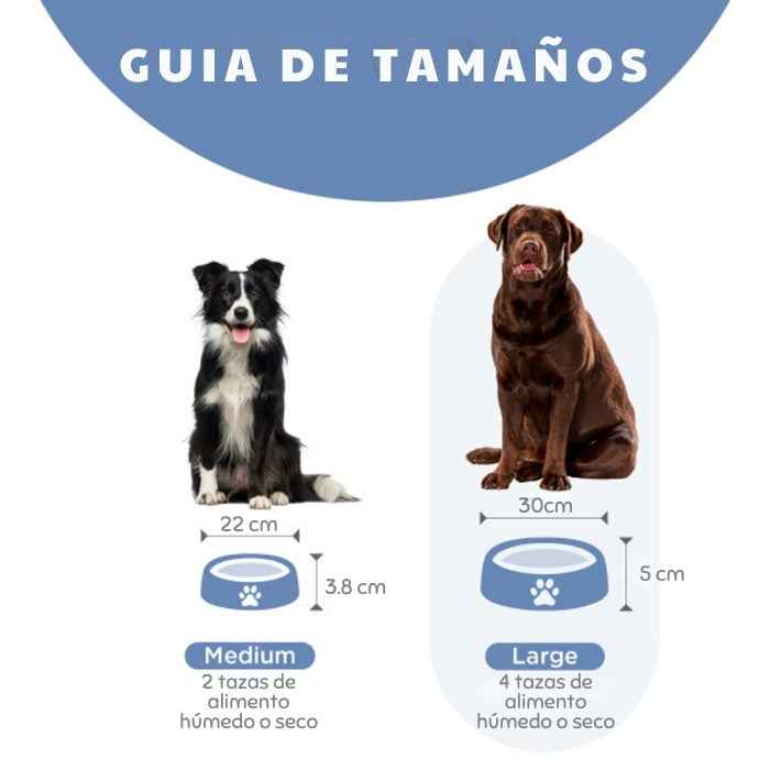 Comedero lento para perros | Outward Hound