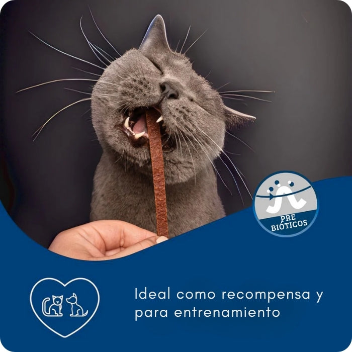 Snacks naturales con prebioticos para perros y gatos Chile