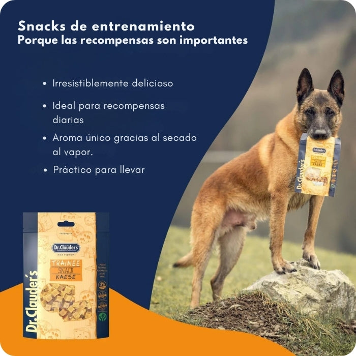 Snack. natural para perros y gatos vegetaiano variedad Quedo Trainee Snack Kaese Dr. Clauder's