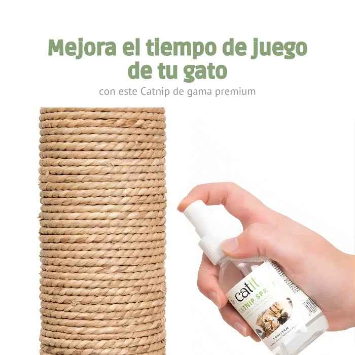 Catnip en spray 90ml para gatos | Catit