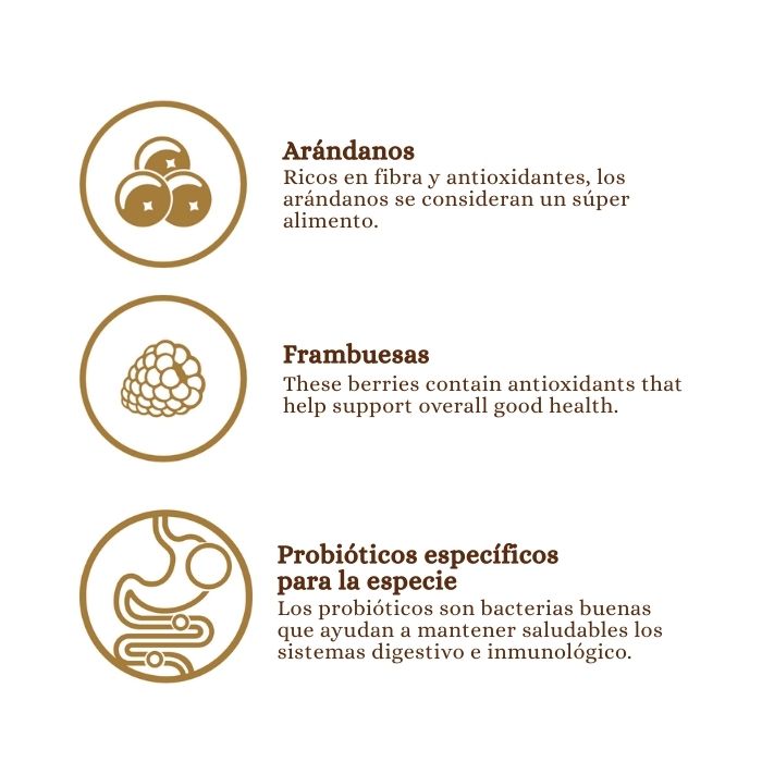 Taste of the wild Ancient Stream con granos ancestrales: con arándanos, frambuesas y probiótios específicos para la especie.