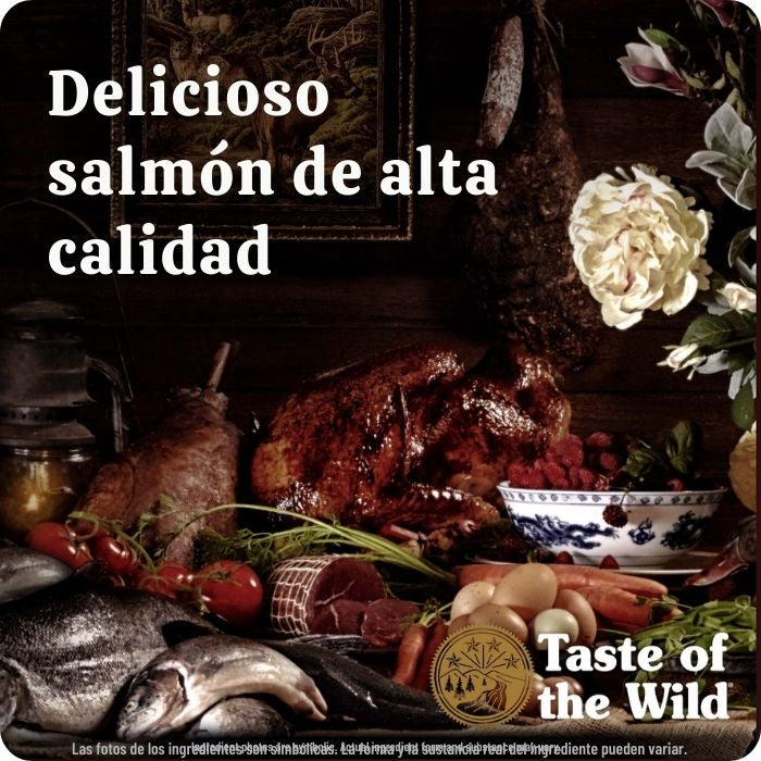 Taste of the wild Ancient Stream con granos ancestrales y salmón de alta calidad