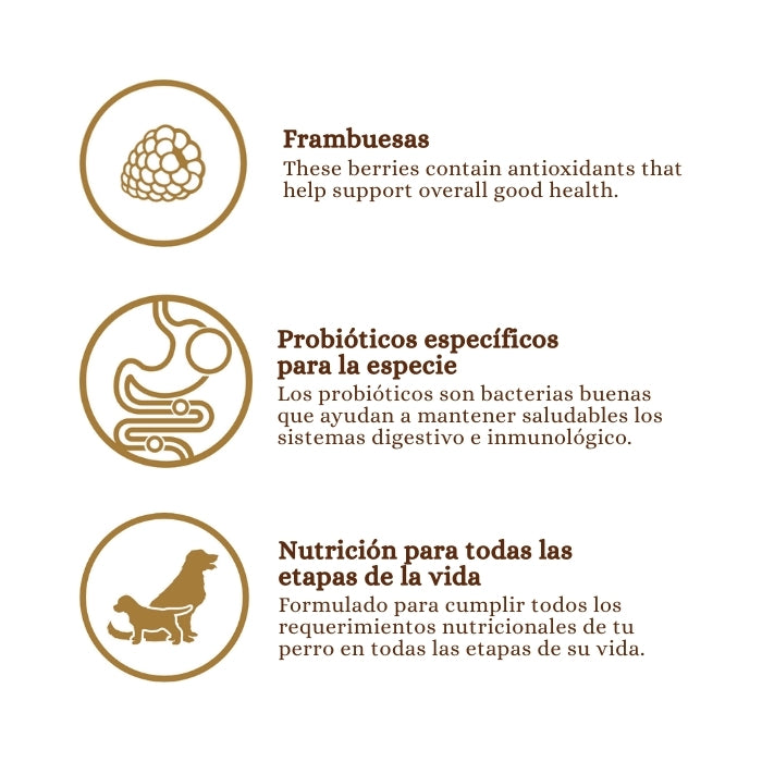 Taste of the Wild Ancient Wetlands con granos ancestrales con frambuesas y probióticos específicos para la especie: nutrición para todas las etapas de la vida.