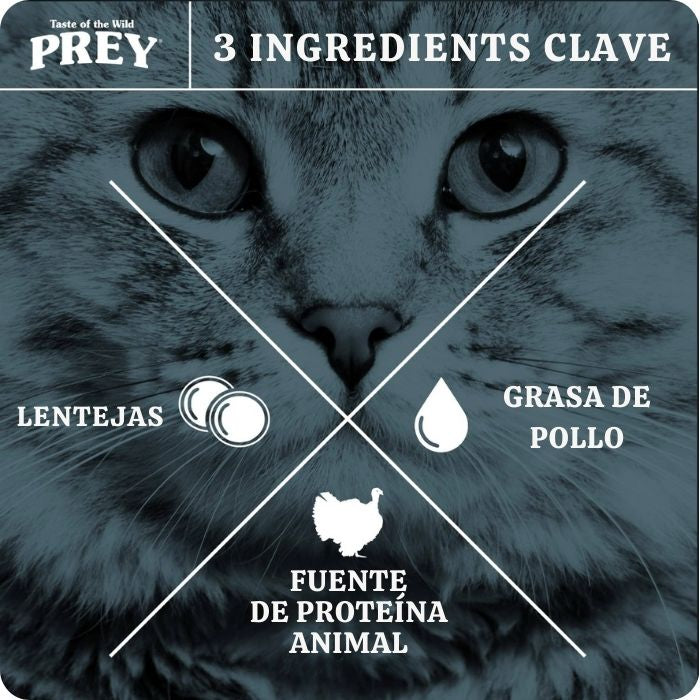 3 Ingredientes clave en las recetas Taste of the Wild PREY: una buena fuente de proteína animal, grasa de pollo y lentejas.