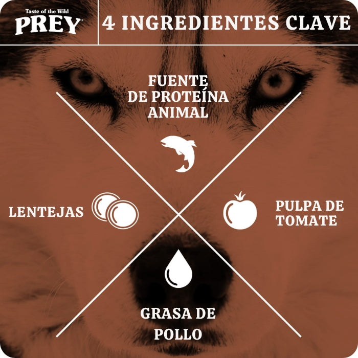 TOW Prey Trout Recipe cuenta con 4 ingredientes clave: la trucha es una excelente fuente de proteína animal, incluye lentejas, pulpa de tomate y grasa de pollo.